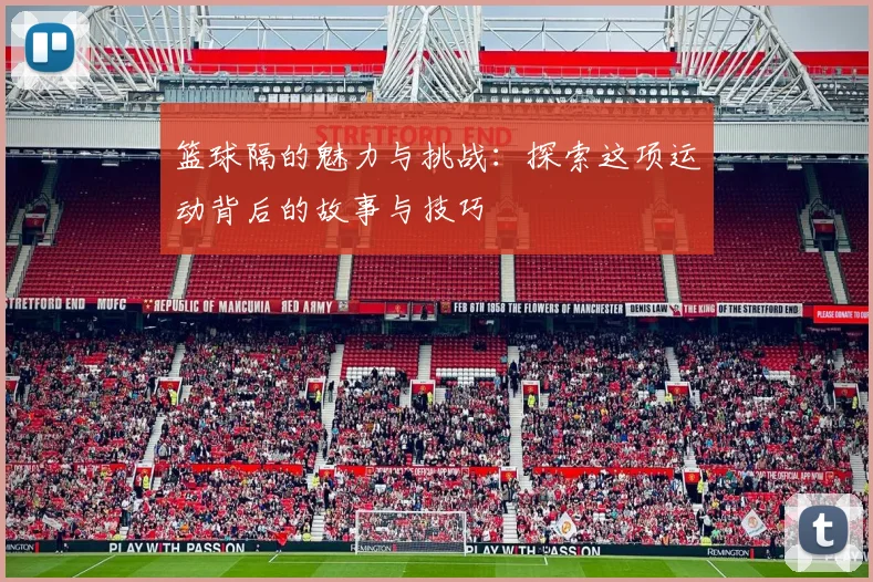 篮球隔的魅力与挑战：探索这项运动背后的故事与技巧