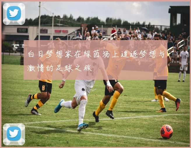 白日梦想家在绿茵场上追逐梦想与激情的足球之旅