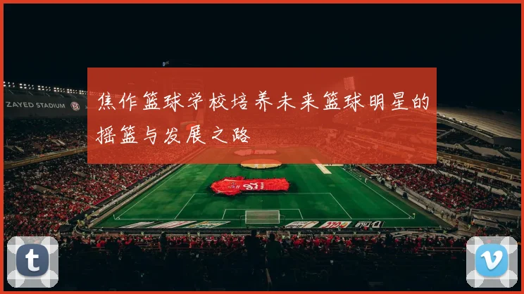 焦作篮球学校培养未来篮球明星的摇篮与发展之路