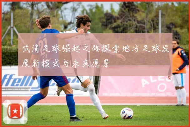 武清足球崛起之路探索地方足球发展新模式与未来愿景