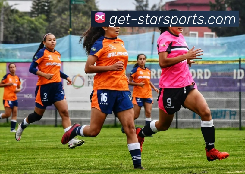 多媒体互动体验